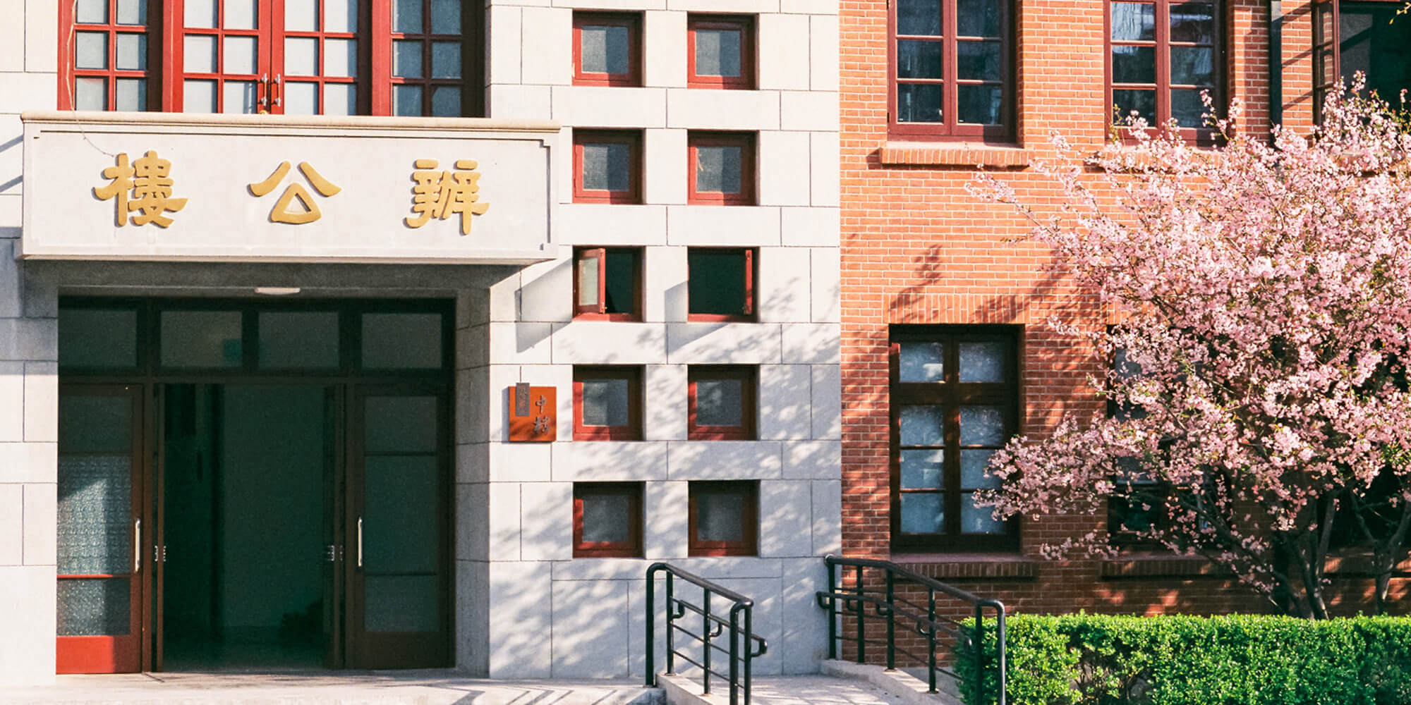学校教育